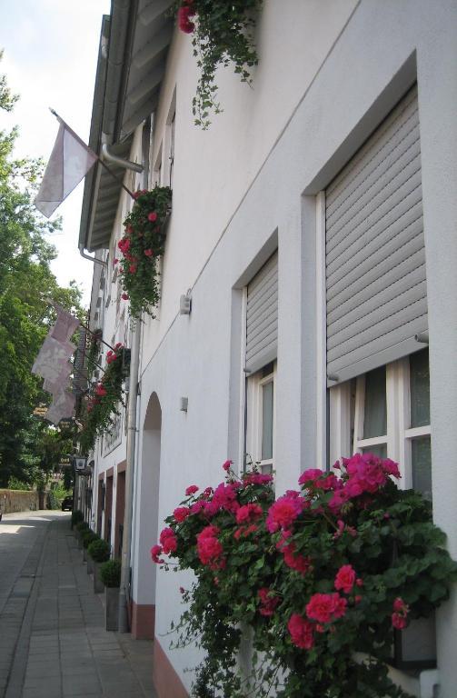 Hotel Wappenstube Erbach  Dış mekan fotoğraf